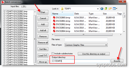 Output_directory