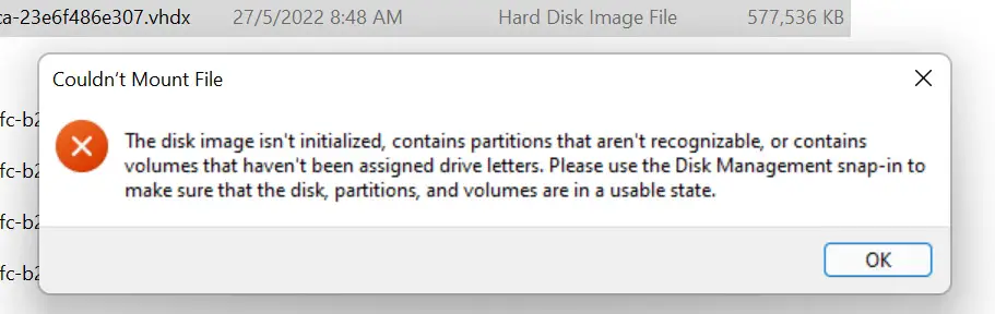 Disk Mounting Error