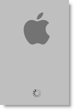 Mac logo stuck