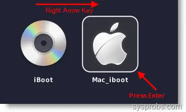 Boot from Mac Hard disk