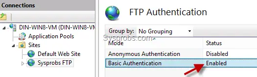 Enabled basic authentication