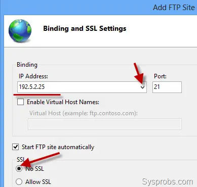 IP and SSL Selection