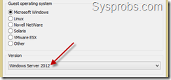Windows server guest os in vmware