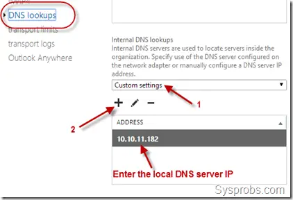 enter internal dns ip