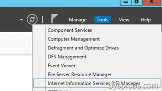 Open IIS Feature