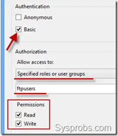 FTP access in Windows Server