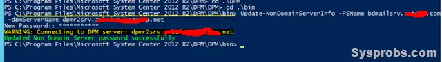 update non-domain password in dpm server