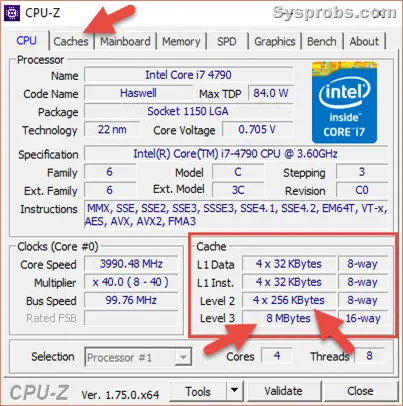 L3 cache by CPU-Z on Windows 10