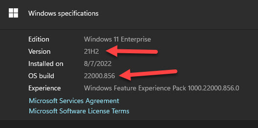 Windows 11 Build Number