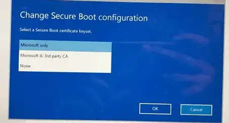 disable secure boot windows 10 for what