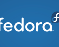 Fedora 30 Icon