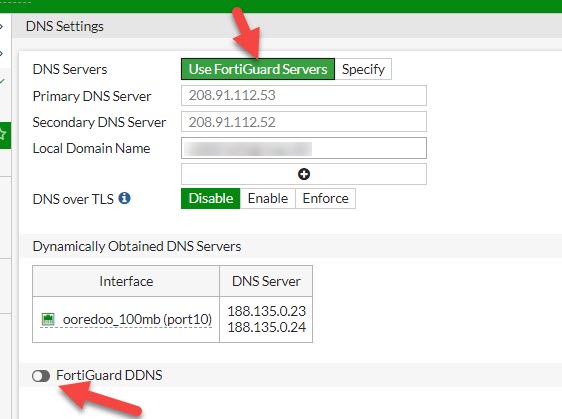 WAN DNS Selection