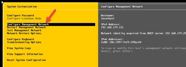 Configure Management Network