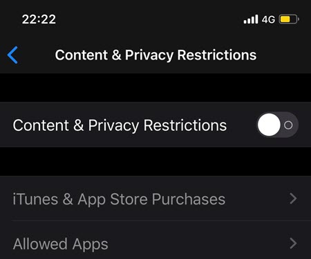 Content And Privacy Settings
