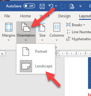 Change One Page To Landscape