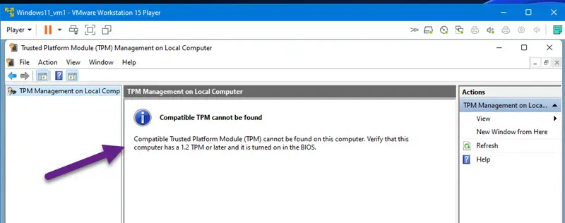 No TPM In VMware