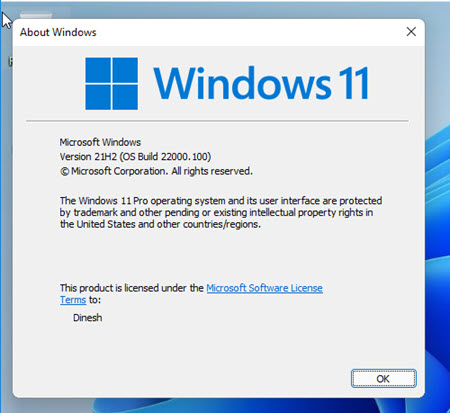 Windows 11 Version Inside VM