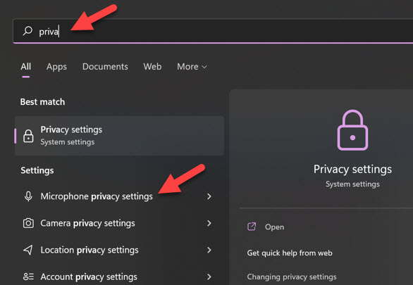 Mic Privacy Settings In Windows 11