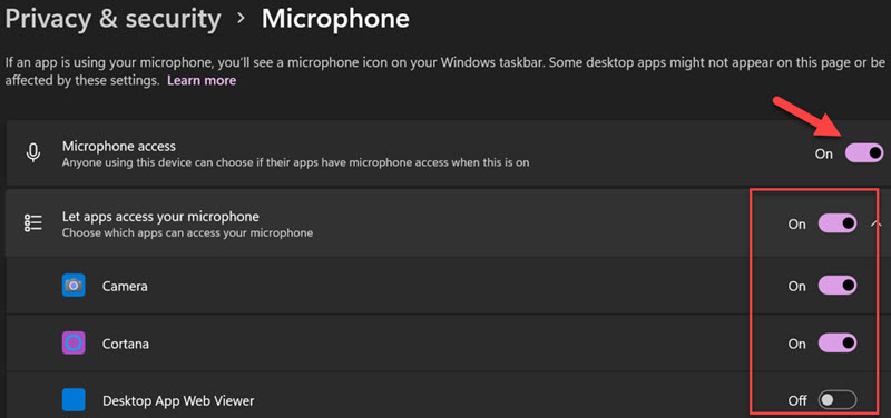 Programwise Mic Access