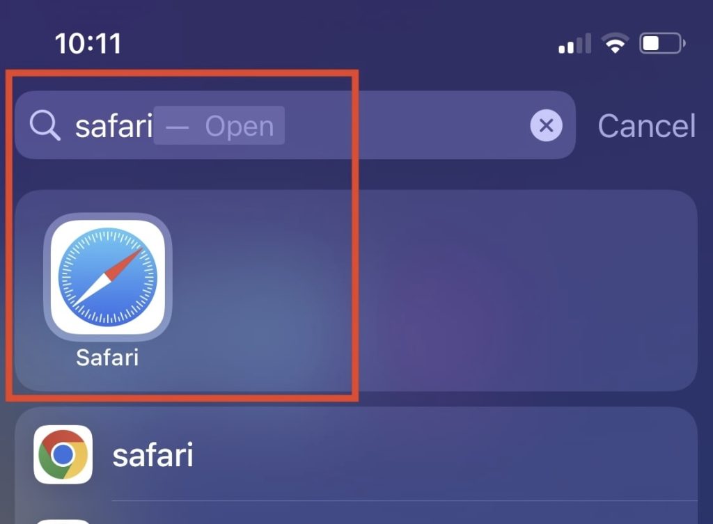 Search For Safari