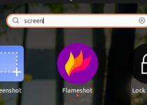 How to Take Screenshot on Linux (Ubuntu, Mint & Others)