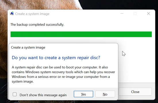 Startup Repair Disk Option