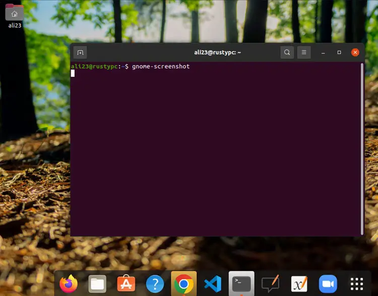 Gnome Screenshot