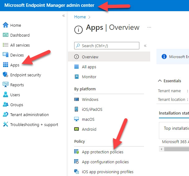 Intune Portal Access