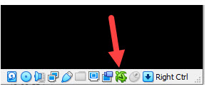 Green Turtle Icon On VirtualBox Windows 11