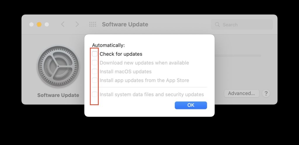 Uncheck Automatically Update Options