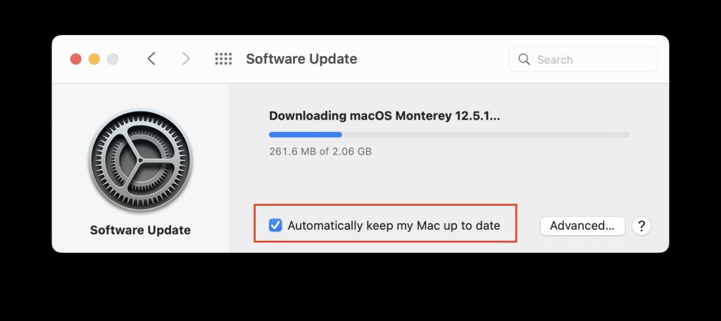Uncheck Automatically Update My Mac