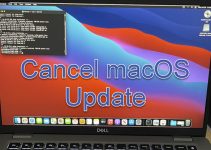 How to Cancel an Update on Mac (MacBook)