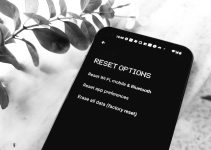 How to Factory Reset an Android 12 Smartphone