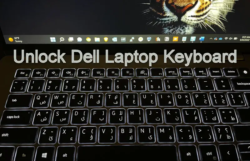 Dell Laptop Keyboard Locked – 8 Ways to Unlock in Windows 10/11 - Sysprobs