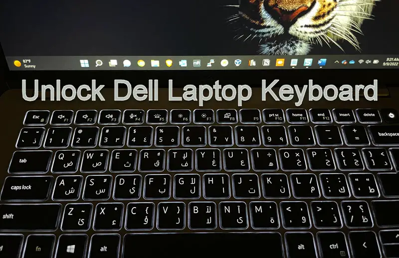 Dell Laptop Keyboard Locked 8 Ways To Unlock In Windows 1011 Sysprobs