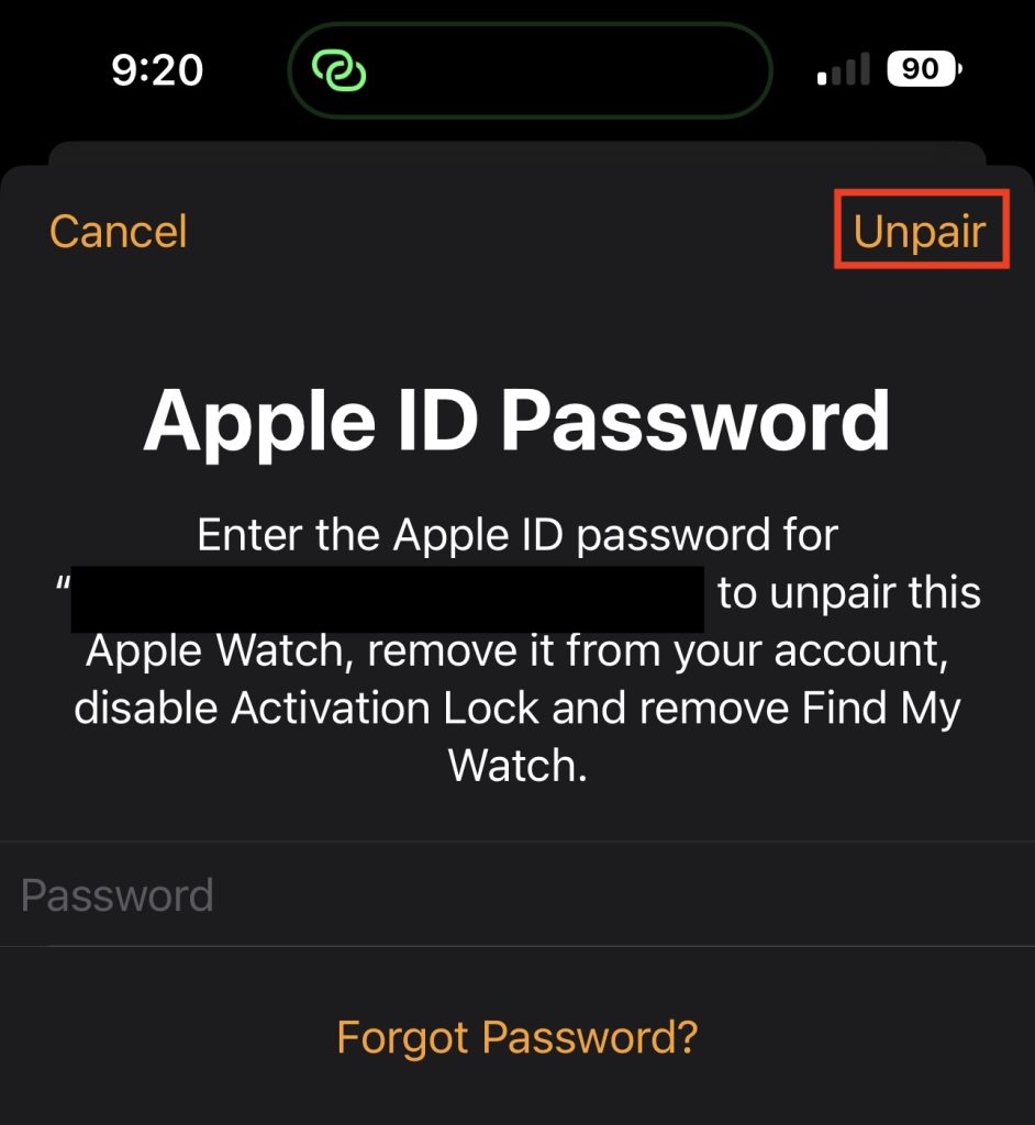 Apple ID Password