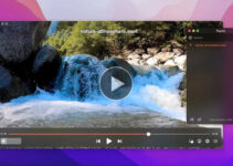 Get Started: How to Listen WMA on Mac