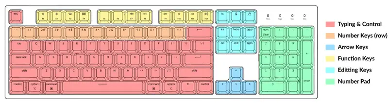 The Full Size Keyboard