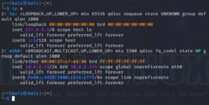 skype ip stresser free