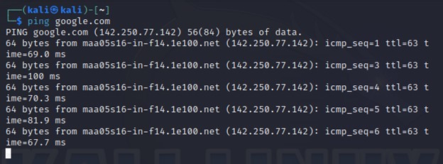 Ping Command In Kali Linux